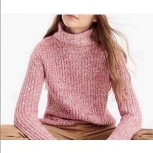 Point Sur for J. Crew Marled Turtleneck